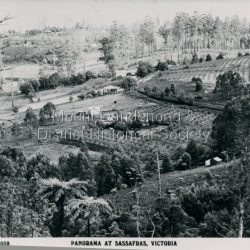 Panorama of Sassafras with berry orchards clearly visible. c1930s.: Black and white copy of Rose series postcard P. 2059 looking across sassafras.
