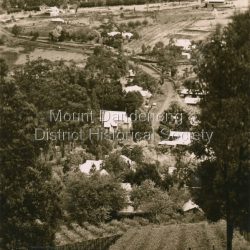 View down the Main Street of Sassafras looking south with the Mechanics Institute in the centre of the picture. The raspberry patch in the foreground belonged to Woniger Hansen who built Mountain Rest (Rostrevor). The land was subdivided after his death in 1923. The raspberry patch is in the area of the current Mason Grove.: Black and white Rose Series postcard P. 4765 looking south down the Main Street of Sassafras with buildings either side and berry patches in the foreground.: On reverse POST CARD. THE "ROSE' SERIES DELUXE. A REAL PHOTOGRAPH PRODUCED IN AUSTRALIA. PUBLISHED BY 'THE ROSE STENOGRAPHS" Armadale. Victoria
