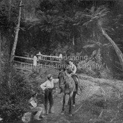 The Crescent Bridge in The Crescent at Sassafras. Stories tell us that one of Iris Woolrichs (nee Dorey) brothers is riding the horse. Photo taken pre WW1.: Black and white photograph showing three men, one sitting on a horse, at the Crescent Bridge in Sassafras: Printed on front: Crescent Bridge, Sassafras