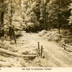 Rose Series postcard # P. 1588 showing a view of the road to Sassafras pre WW1.: Sepia Coloured Rose Series post card P.1588 showing a stretch of unmade road passing over a simple bridge on the road to sassafras.: On Front: THE ROSE SERIES, P. 1588 THE ROAD TO SASSAFRAS, VICTORIA