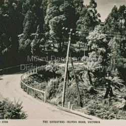 The Sassafras-Olinda Road, Vic
