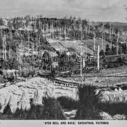 "O'er hill and dale', Sassafrass, Victoria