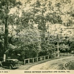 Bridge between Sassafrass and Olinda