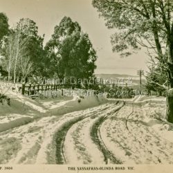 The Sassafrass-Olinda Road, Vic