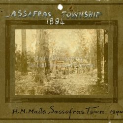 Sassafras Townhip 1894