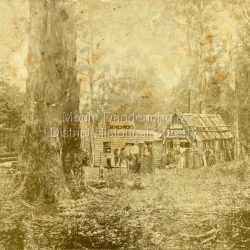 Sassafras Townhip 1894