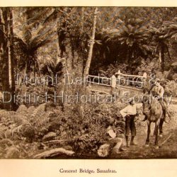 Photo, copied from the Tourists' Guide to the Dandenong Mountains (1904)