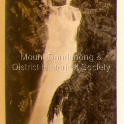Photo, copied from the Tourists' Guide to the Dandenong Mountains (1904)