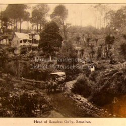 Photo, copied from the Tourists' Guide to the Dandenong Mountains (1904)