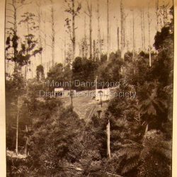Photo, copied from the Tourists' Guide to the Dandenong Mountains (1904)