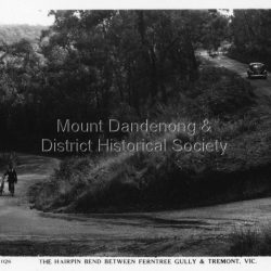 The hairpin bend between Fertree Gully and Tremont, Vic