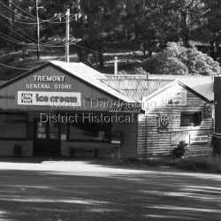 Tremont store and petrol station