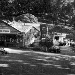 Tremont store and petrol station