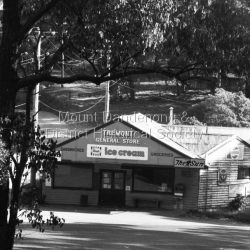 Tremont store and petrol station